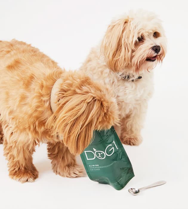 DOG1